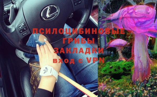 спиды Елизово