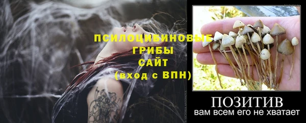 спиды Елизово