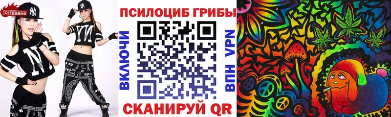 Псилоцибиновые грибы Psilocybine cubensis  купить   Межгорье 